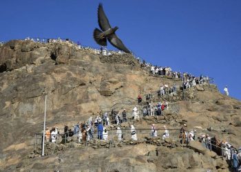 DPR Minta Proses Hukum Terhadap 3 WNI Terlibat Haji Ilegal di Makkah
