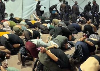Eks Pejabat PBB Sebut Cara Menyelamatkan WNI Tertangkap oleh Israel