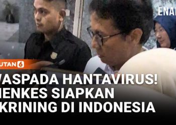 Waspada Hantavirus, Kemenkes Siapkan Tes Cepat dan PCR