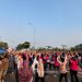 Petals Urban Market dan Cara Menikmati Akhir Pekan di Kota Mandiri Paramount