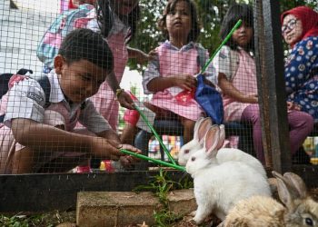 Wujudkan Kota Layak Anak, Jakarta Tingkatkan Jumlah Ruang Publik untuk Anak