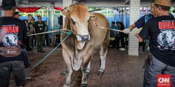 Logika Seperti Bantuan Sembako