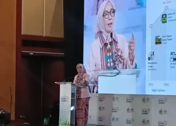 Kejarlah Ambisi Juara Energi Panas Bumi Dunia, Indonesia Targetkan Salip AS pada 2030