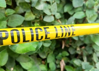 Pria Misterius Pura-pura Kerja Bikin IRT Pingsan di Bogor