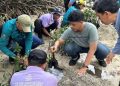 50 Tukik Dilepas dan Penanaman 500 Bibit Mangrove di Pulau Sabira