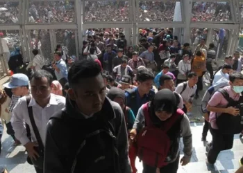 Lowongan Kerja Dibuka, Fresh Graduate Diperbolehkan Melamar di Nusantara Sakti Group