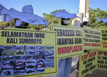 Peringatan Hari Lingkungan Hidup Sedunia, Aktivis Dorong Kebersihan Sungai