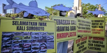 Peringatan Hari Lingkungan Hidup Sedunia, Aktivis Dorong Kebersihan Sungai