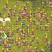 Server Baru Ragnarok Online Classic Menawarkan Leveling Cepat dan Efektif