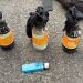 Mahasiswa Pembawa Bom Molotov Saat Demonstrasi Menjadi Tersangka
