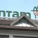 Proyek Hilirisasi Nikel dan Mobil Listrik di Antam