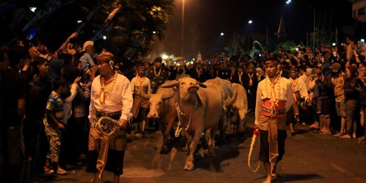 Dua Raja Klaim Gelar Kirab 1 Suro, Wali Kota Solo Diminta Intervensi