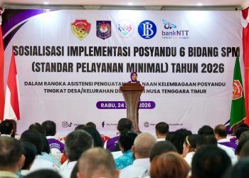 Posyandu Sebagai Pusat Pelayanan Enam Bidang SPM di Desa