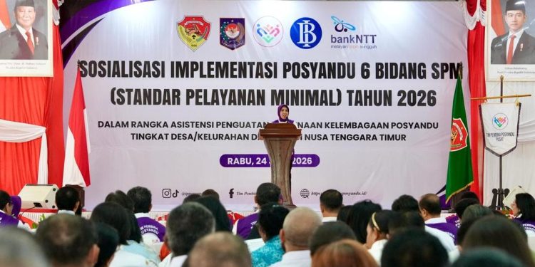 Posyandu Sebagai Pusat Pelayanan Enam Bidang SPM di Desa