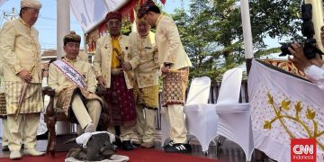 Ritual Tanah Gajah Lampung Jokowi Langkah di Kepala Kerbau di Karpet Merah