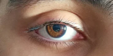 Retina Orang Meninggal Dapat Dihidupkan Kembali untuk Transplantasi Mata