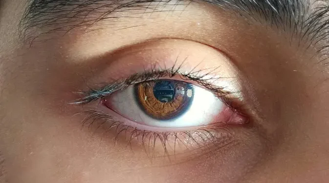 Retina Orang Meninggal Dapat Dihidupkan Kembali untuk Transplantasi Mata