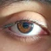 Retina Orang Meninggal Dapat Dihidupkan Kembali untuk Transplantasi Mata