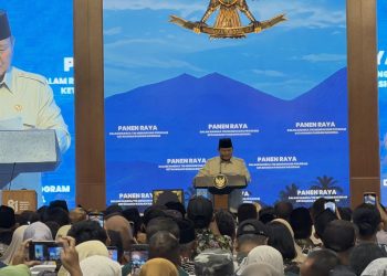 Harga Beras Meningkat? Tanam Padi Secara Mandiri