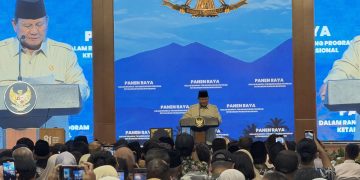 Harga Beras Meningkat? Tanam Padi Secara Mandiri