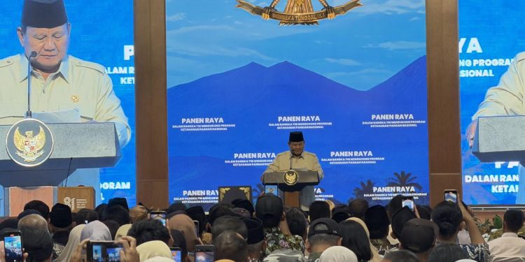 Harga Beras Meningkat? Tanam Padi Secara Mandiri