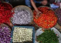 Cabai Rawit Merah Mencapai Harga Rp 62.100 per Kg