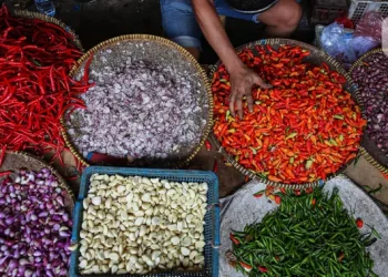 Cabai Rawit Merah Mencapai Harga Rp 62.100 per Kg