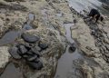 Kemarau Ekstrem, 140 Titik di Banten Terkena Kekeringan