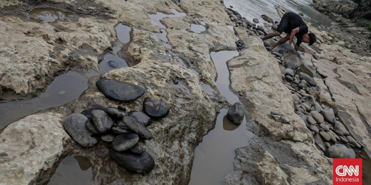 Kemarau Ekstrem, 140 Titik di Banten Terkena Kekeringan