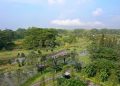 Penguatan Green Living di BSD City untuk Mewujudkan Kota Modern Berkelanjutan di Indonesia