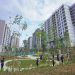 Disetujui PPN DTP Rumah Susun Subsidi, Harga Rusun MBR Berpeluang Lebih Terjangkau