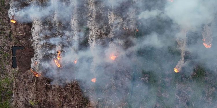 Catatan BPBD 306 Karhutla di Sumsel hingga Juli 2026