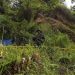 Disetop Tambang Emas Ilegal di Hutan Produksi Terbatas Sulut, Dua Tersangka Ditangkap