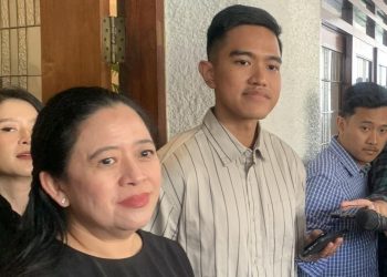 Dapil Neraka Kandang Banteng Terganggu oleh Kaesang