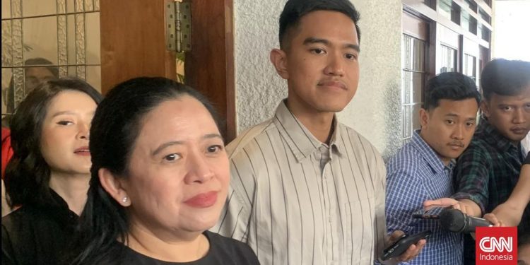 Dapil Neraka Kandang Banteng Terganggu oleh Kaesang