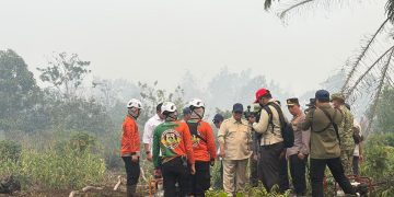Kebakaran Hutan Kalimantan Terkendali Menurut Prabowo: Dulu Lebih Parah