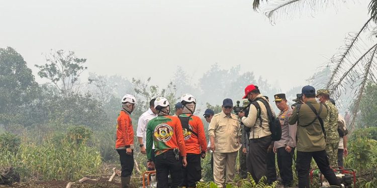 Kebakaran Hutan Kalimantan Terkendali Menurut Prabowo: Dulu Lebih Parah