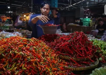 3 Daftar Harga Cabai Semakin Tinggi