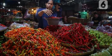3 Daftar Harga Cabai Semakin Tinggi