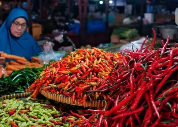 Harga Pangan 22 Agustus 2026 Cabai Rawit Merah Rp 70.450 per Kg