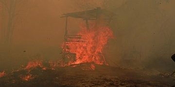 Catatan 936 Hektare Hutan dan Lahan Terbakar di Kaltim oleh BPBD