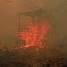 Catatan 936 Hektare Hutan dan Lahan Terbakar di Kaltim oleh BPBD