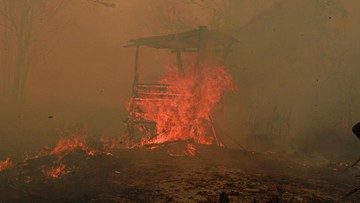 Catatan 936 Hektare Hutan dan Lahan Terbakar di Kaltim oleh BPBD