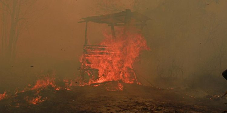 10 Fakta Karhutla Kalimantan: Asap Masuk Malaysia dan Relawan Terkena Dampak