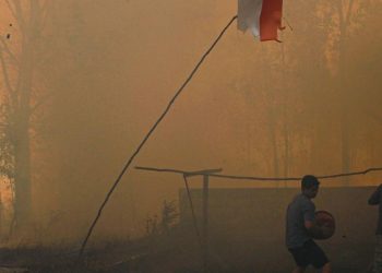 Biang Karhutla Kebun Sawit di Berau Jadi Tersangka dan Mengaku Disuruh