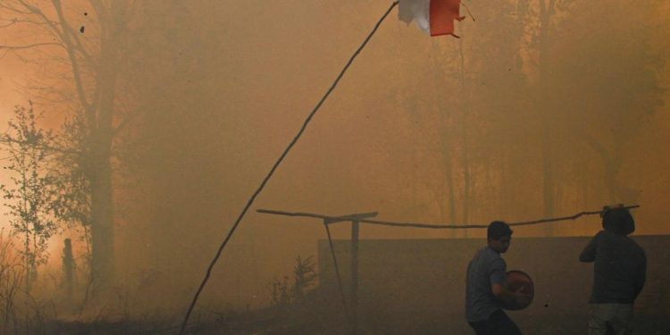 Biang Karhutla Kebun Sawit di Berau Jadi Tersangka dan Mengaku Disuruh