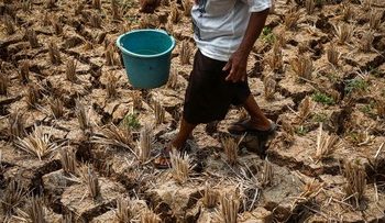 Dampak Kemarau di Kabupaten Bekasi dalam Gambar