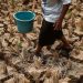 Dampak Kemarau di Kabupaten Bekasi dalam Gambar