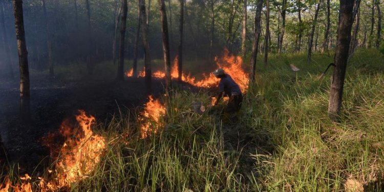Karhutla di Bangka Tengah Capai 118 Hektare Selama Juli-Agustus 2026