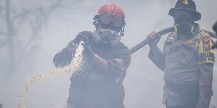 17 Tersangka Ditahan dalam Kasus Kebakaran Hutan dan Lahan oleh Polda Sumsel